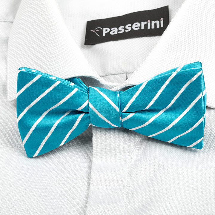 Passerini/Am Ferrand Blue pánský motýlek s proužkem