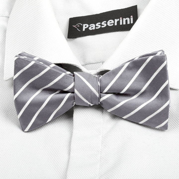 Passerini/Am Ferrand Gray pánský motýlek s proužkem