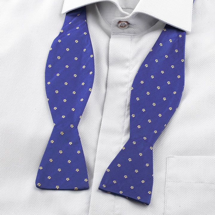 Passerini/Am Philbert Blue pánský motýlek s mřížkou